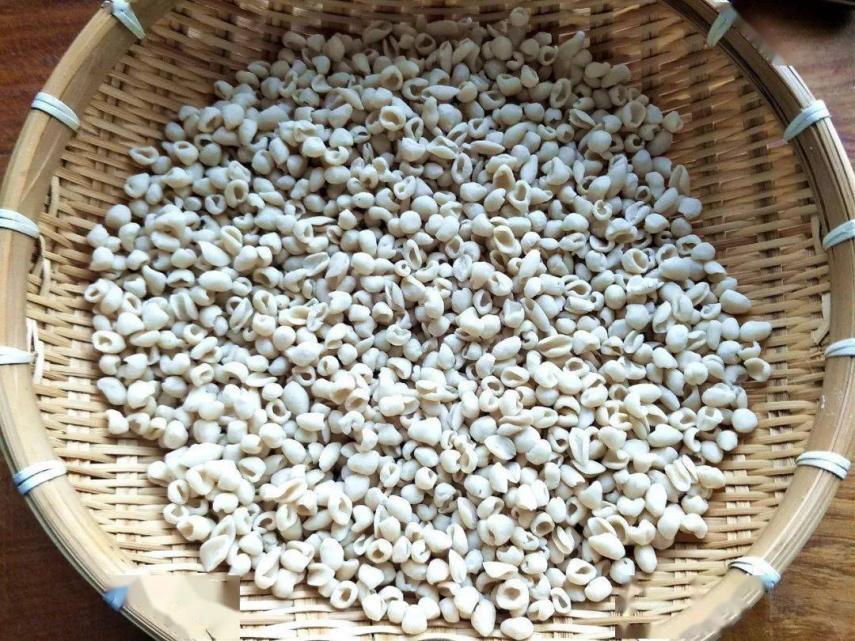 冬至丨热汤祛寒意　人间小团圆