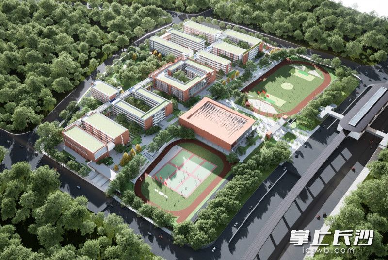 长沙市一中(湘江校区)鸟瞰图。