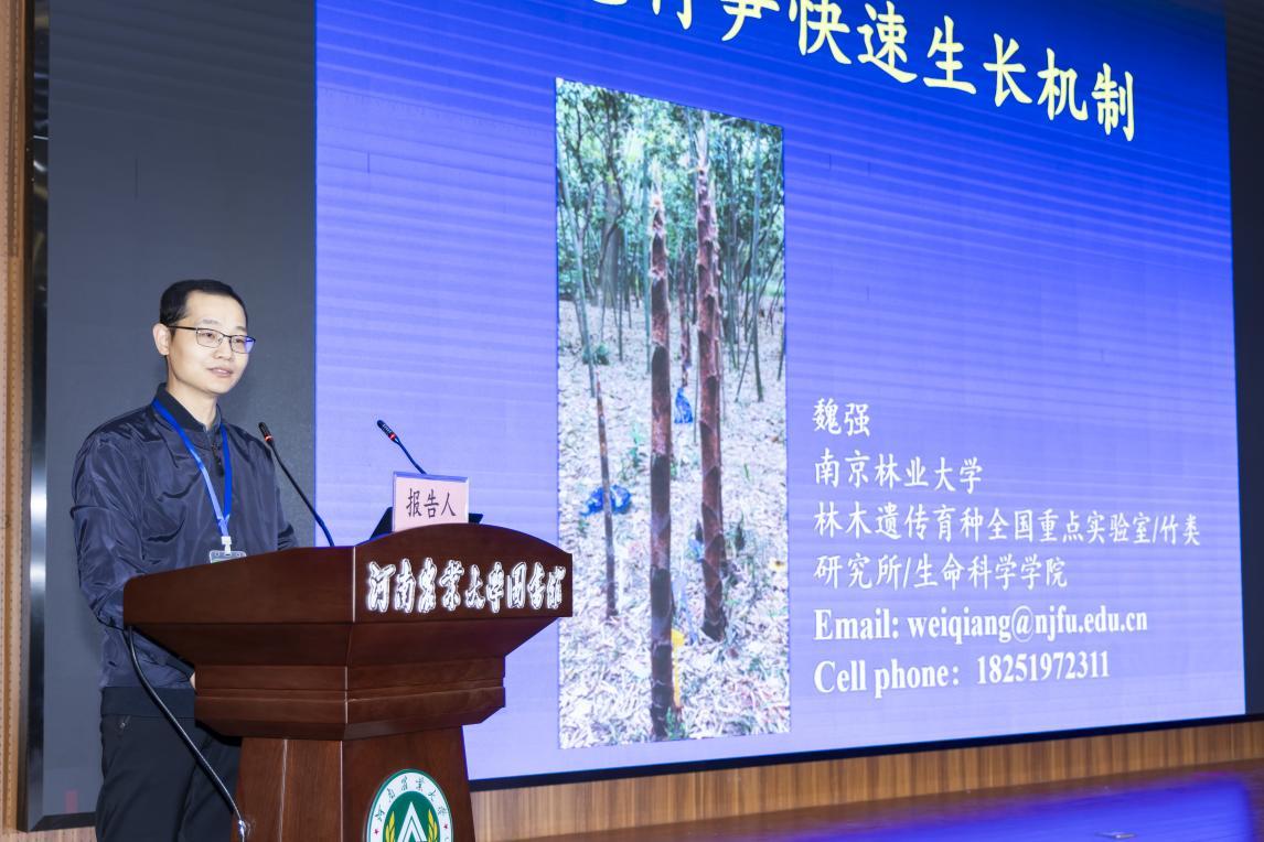 魏强作专家报告