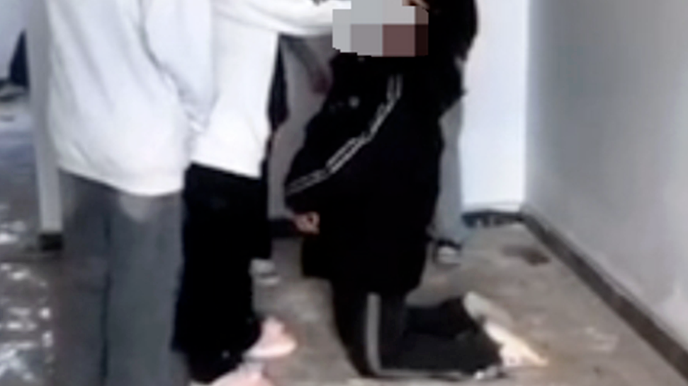 安徽一中学女生遭霸凌，被迫下跪并被扇耳光，县政府回应