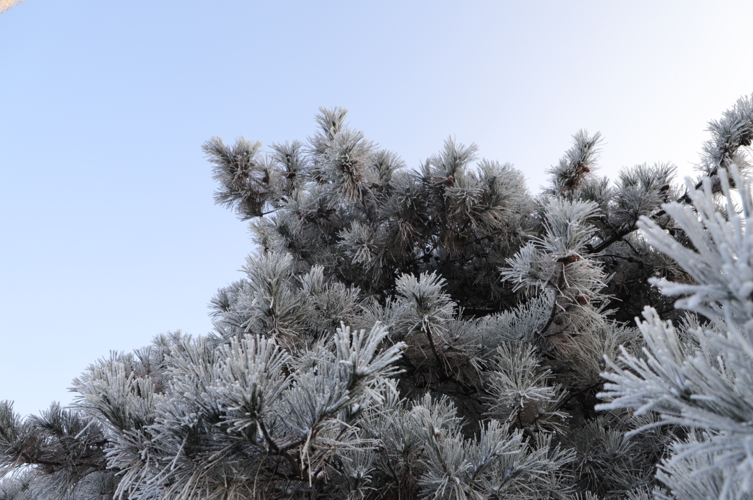 组图来源：沂蒙山龟蒙 云蒙景区