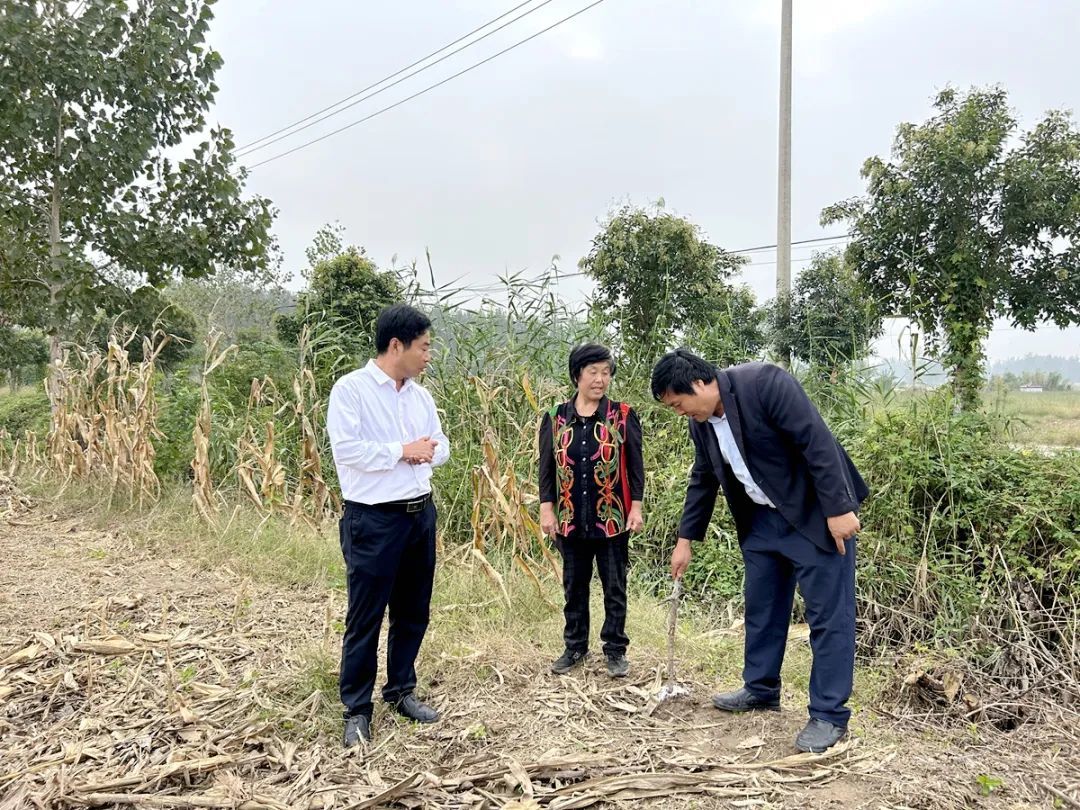 江蘇邳州大河之畔繪就鄉村振興幸福圖景