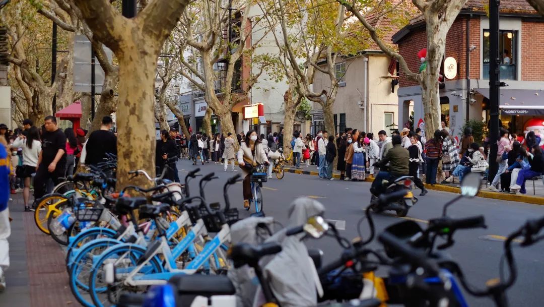 这条百年上海顶流小马路，最近又火了