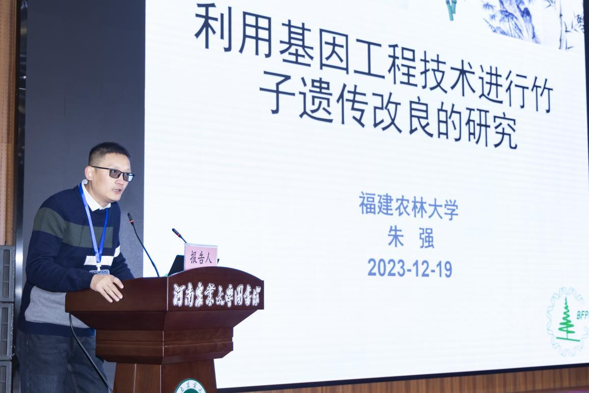 朱强作特邀报告