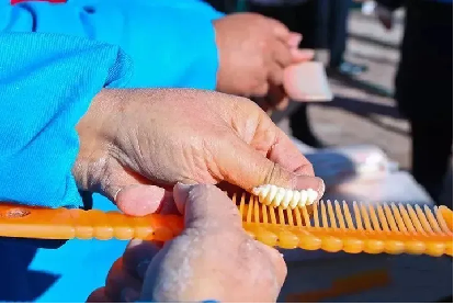冬至丨热汤祛寒意　人间小团圆