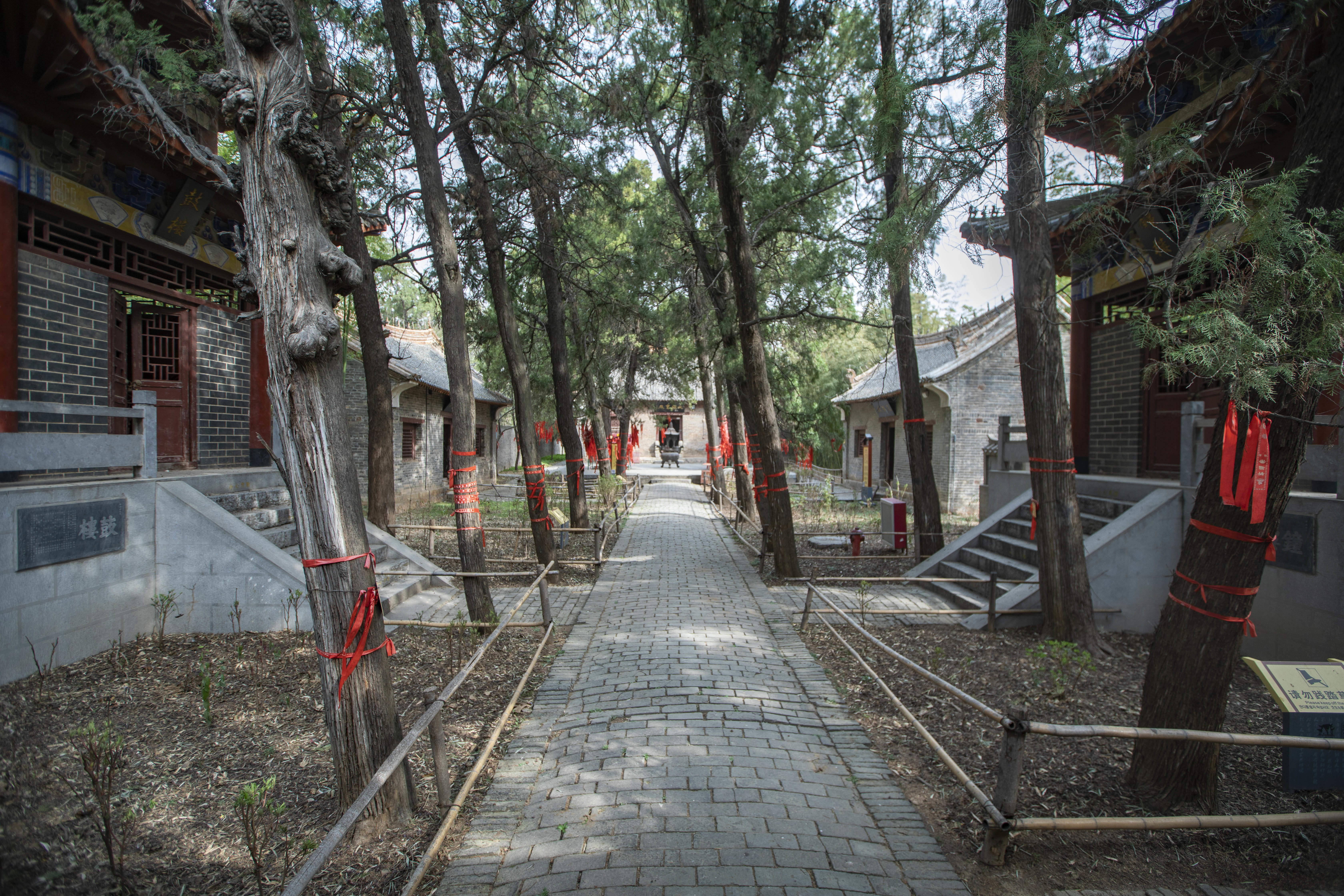 中国传统村落巡礼之九：苏坟寺村——因文豪而兴的村落