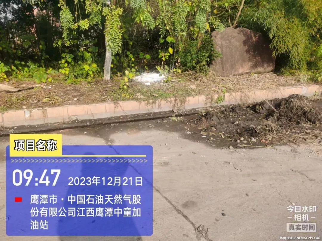 督查曝光！龙虎山景区花语世界灯罩破损 一号停车场杂物乱堆乱放