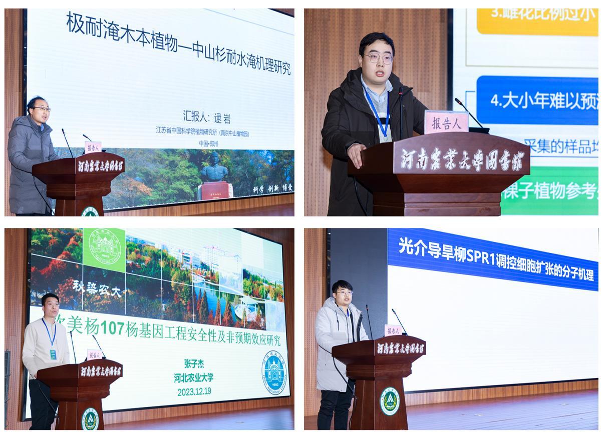 逯岩、郝俊飞、张子杰、张新宇作研究报告