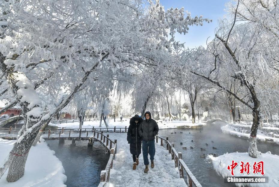 新疆烏魯木齊雪後氣溫驟降公園現霧凇美景