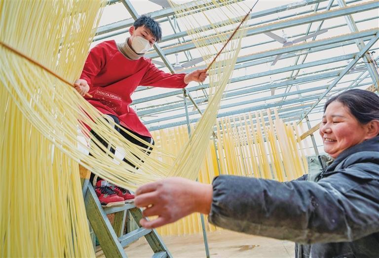 冬日，成县纸坊镇邵坪村村民在制作晾挂手工挂面。连日来，成县各地村民开始制作手工挂面，通过上架、开面、晾面等步骤，土法制作的挂面如丝如弦挂满院落。新甘肃&middot;甘肃农民报通讯员　吴庭栋