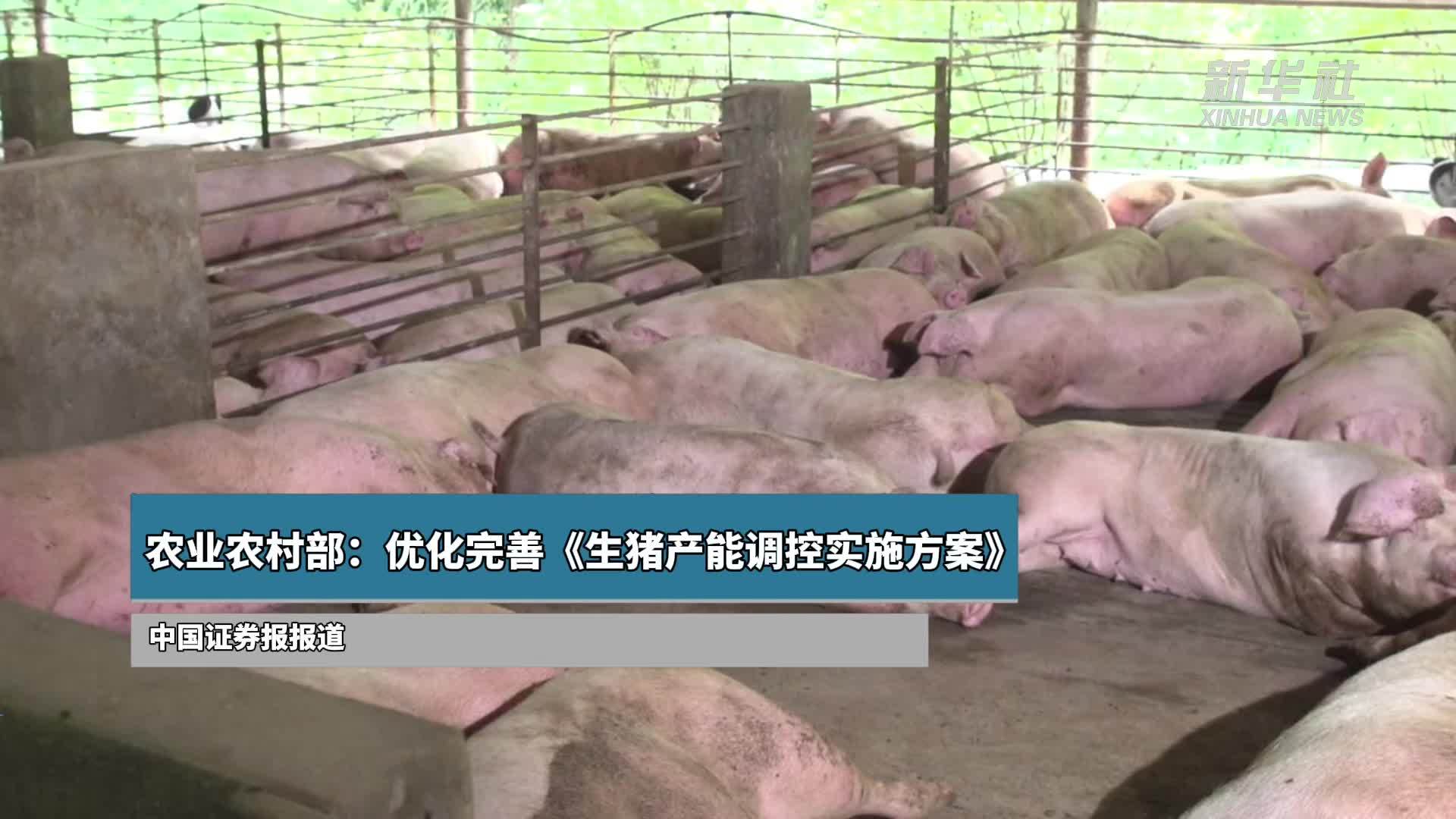 农业农村部:优化完善《生猪产能调控实施方案》_凤凰网视频_凤凰网