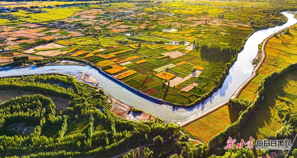 金秋时节，张掖市临泽县黑河两岸丰收的田野在夕阳的映照下色彩斑斓，构成大自然最美的画卷。新甘肃·每日甘肃网通讯员　王将　张延平