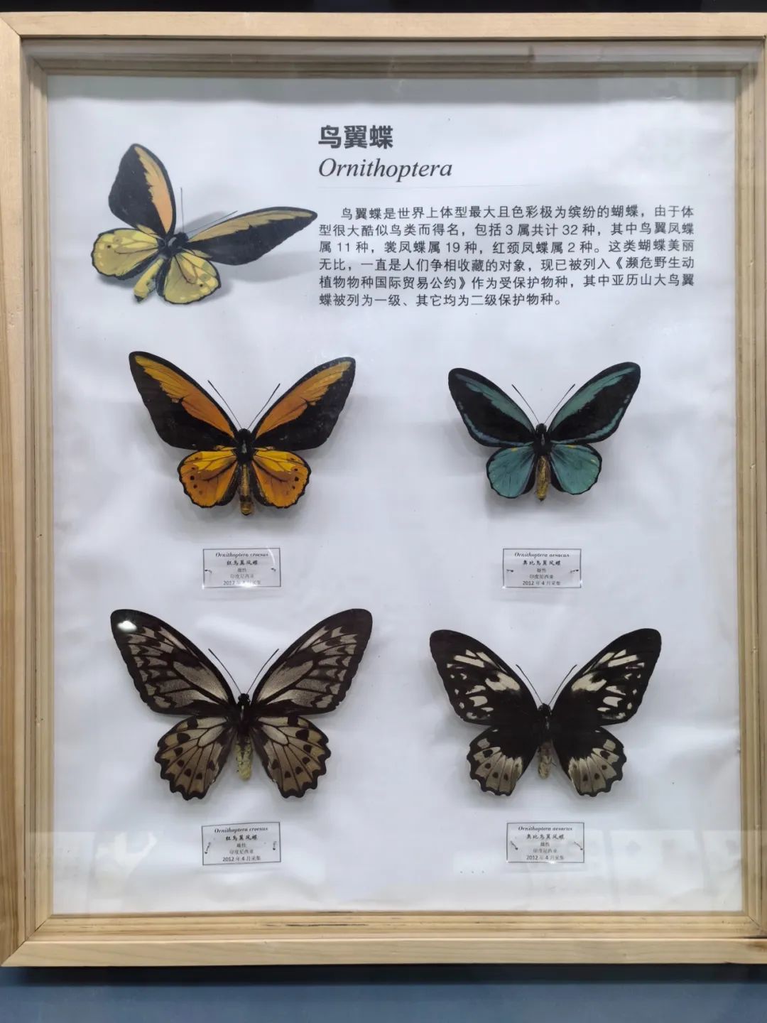 黑龙江省博物馆展览图片