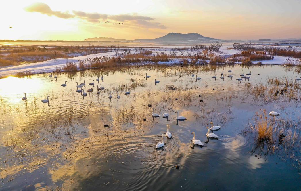 图片来源：网络