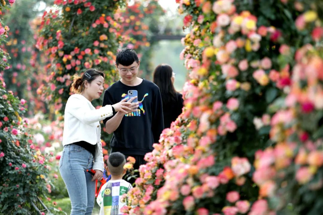 江苏邳州：满足美好民生憧憬 回应人民群众期盼