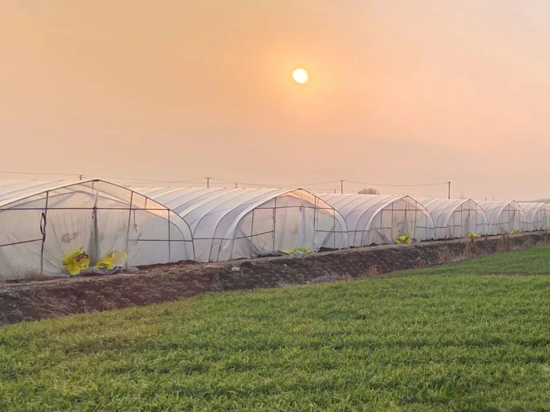 江苏邳州：拼状态 比实绩 奏响高质量发展激昂旋律