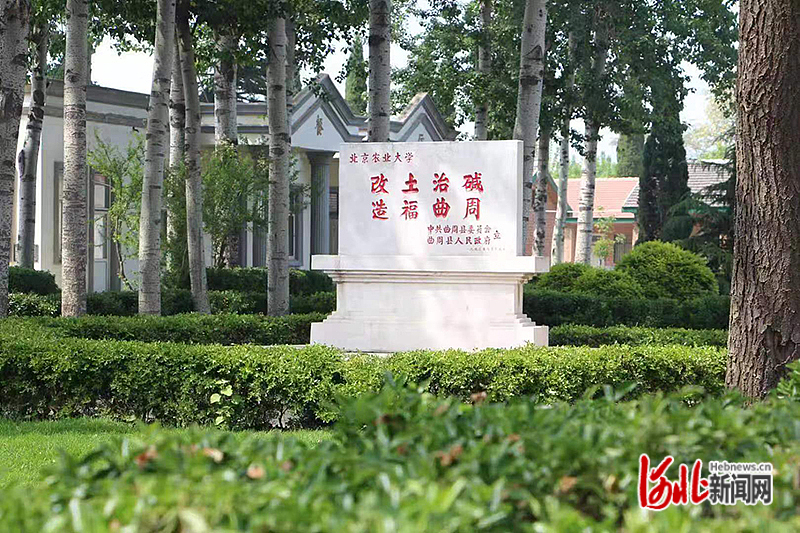 在中国农业大学曲周实验站院里,有一块刻着“改土治碱 造福曲周”的石碑。 中国农业大学曲周实验站供图