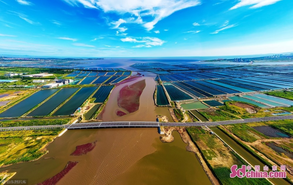 图片来源：中国山东网