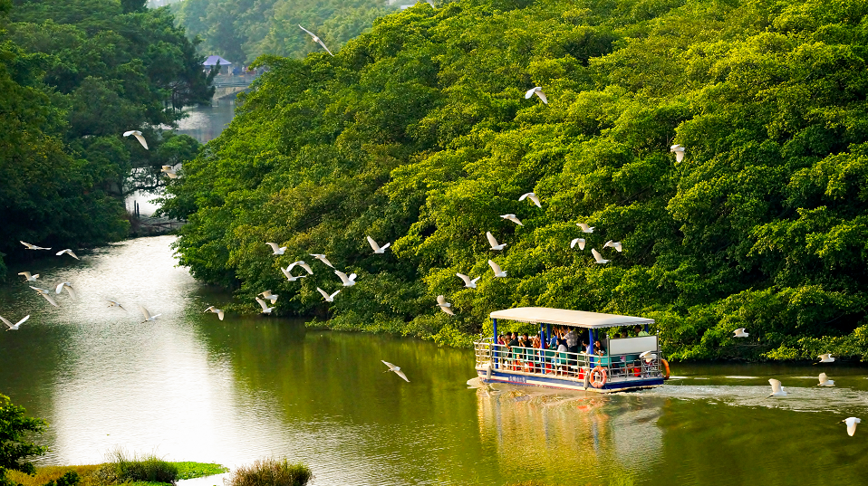 小鸟天堂 阮国志 摄