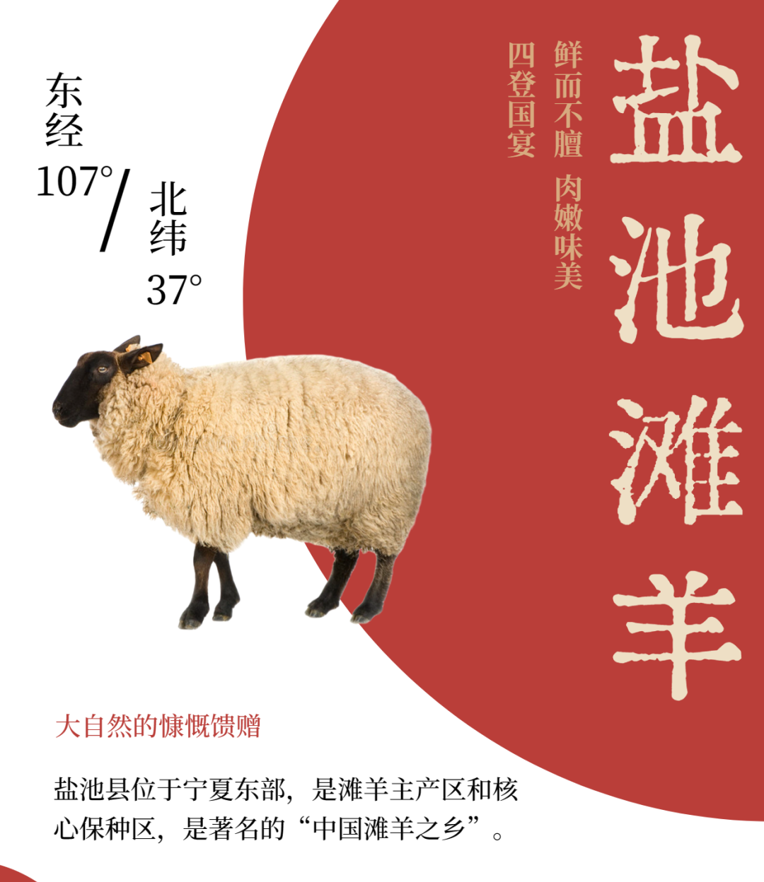 《舌尖》推荐盐池滩羊!自带奶香,驱寒蕴气,清水煮都好吃~凤凰网凰家尚品_凤凰网
