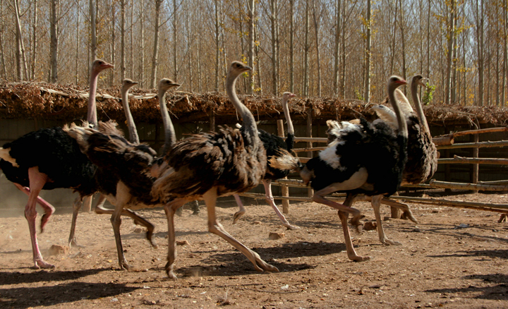 【图集】你等的永昌美景大片　又上新了