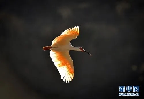 新华社记者丁海涛摄