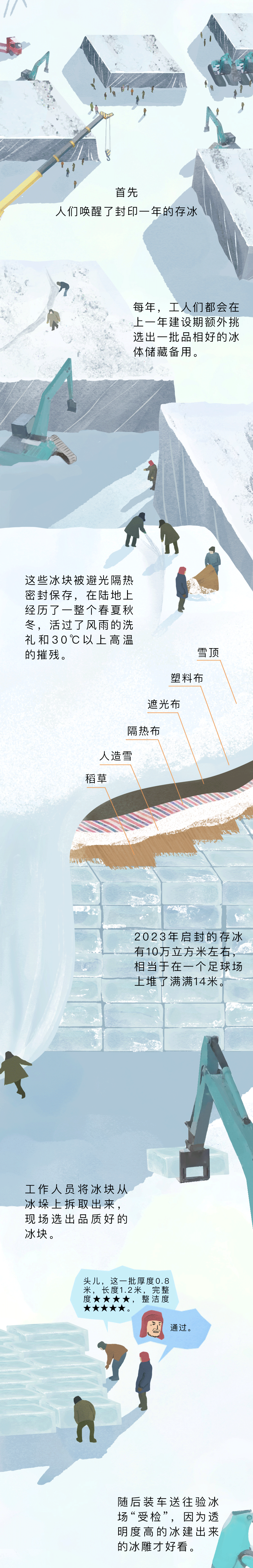 大鱼漫画丨面积比故宫大，如何在30天内建成？揭秘哈尔滨冰雪大世界
