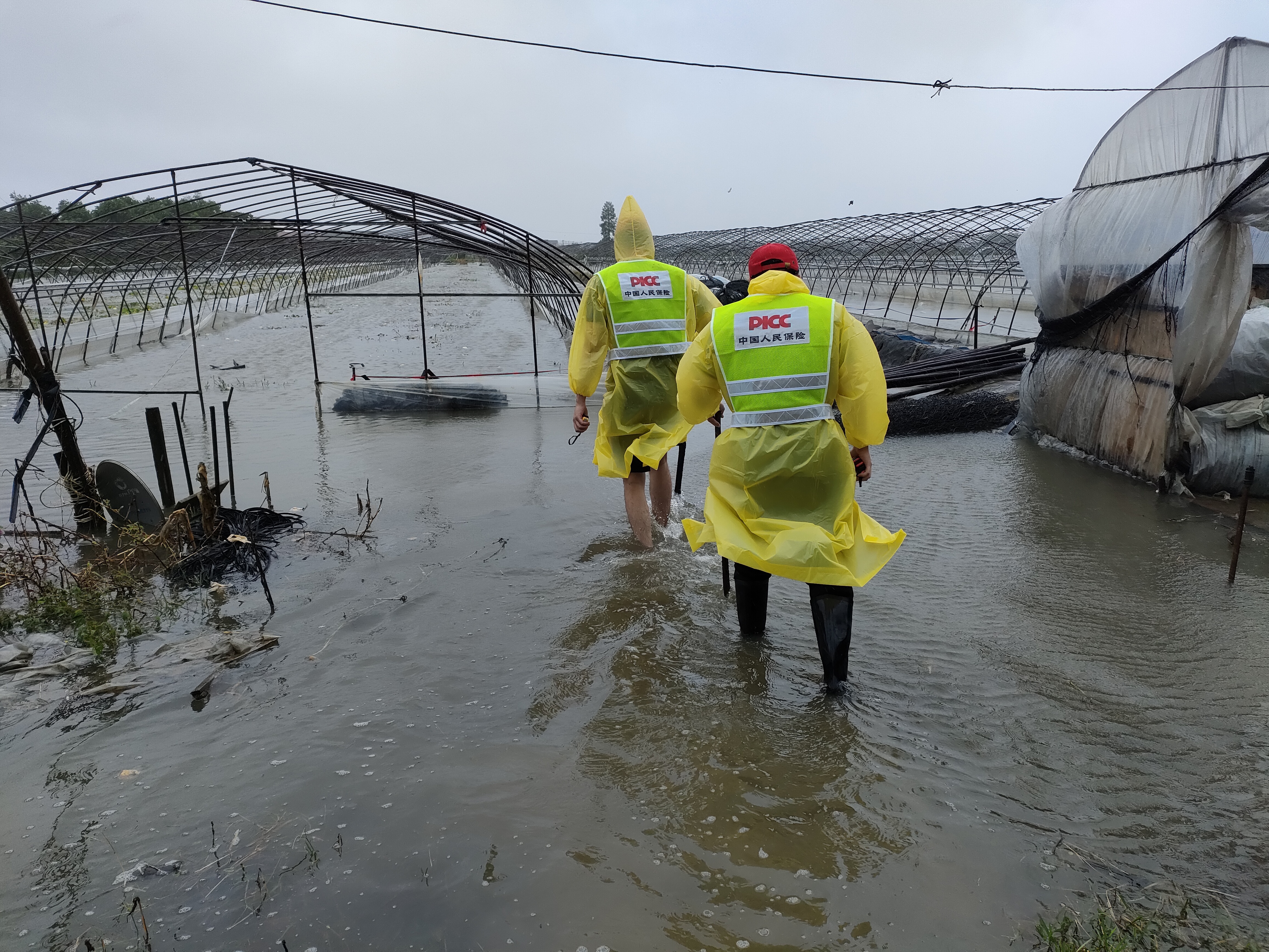 聚焦首推首创首炼| 宁波市顺利完成政策性农业保险遴选工作