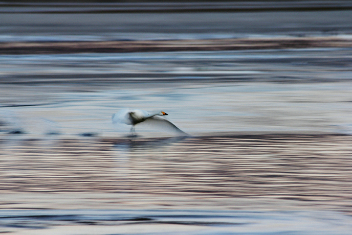 【图集】你等的永昌美景大片　又上新了
