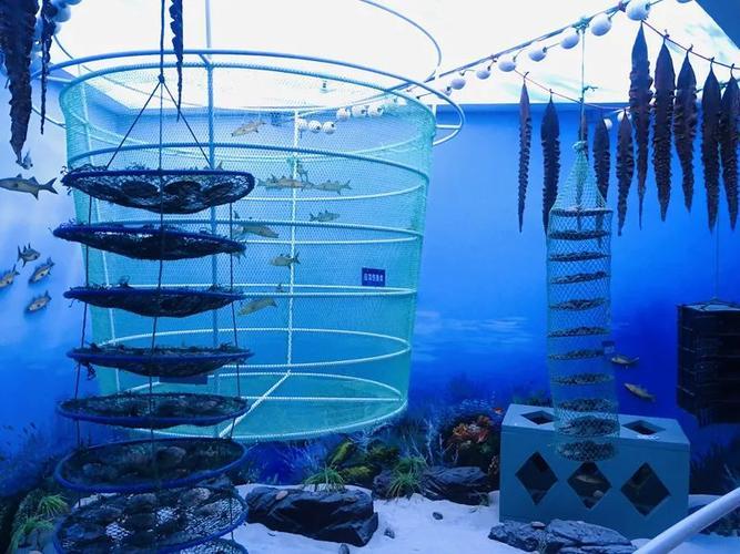 图片来源：网络