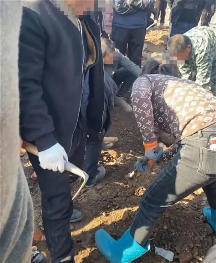 现场视频截图