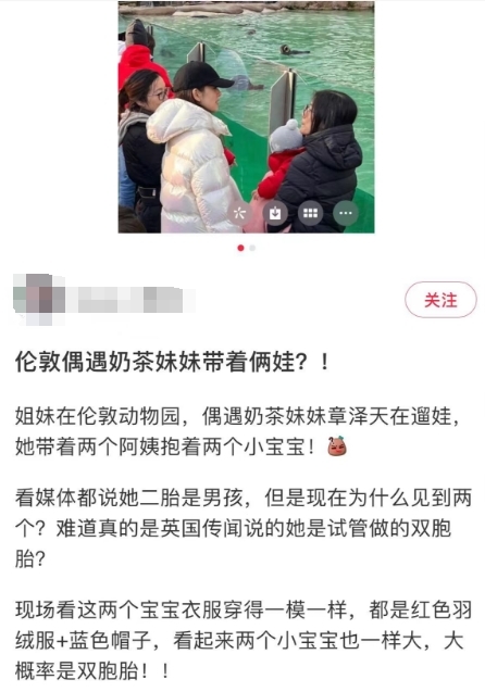 章泽天二胎疑似双胞胎 俩保姆人手抱一孩子