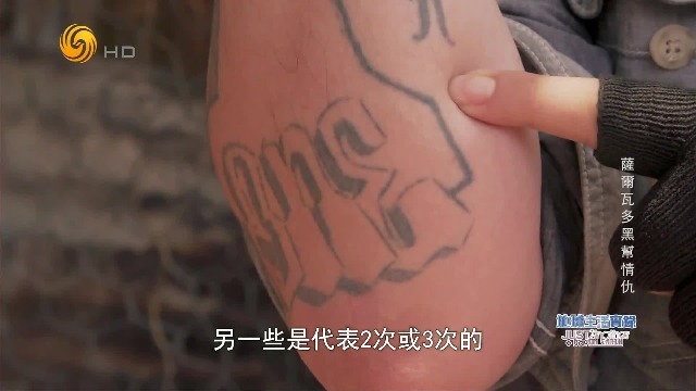 萨尔瓦多早期帮派成员：纹身越多，杀人越多？