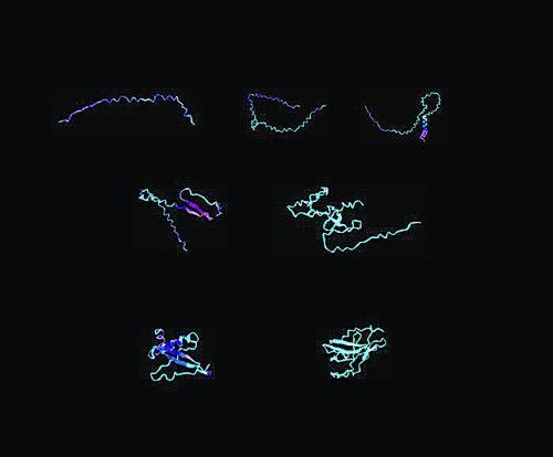 设计蛋白质生物材料的可视化示例。 图片来源：马库斯·比勒/《应用物理学杂志》