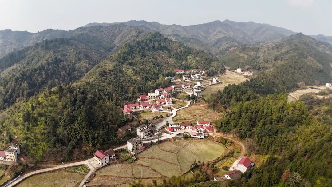 泰和县：山乡美景（图）