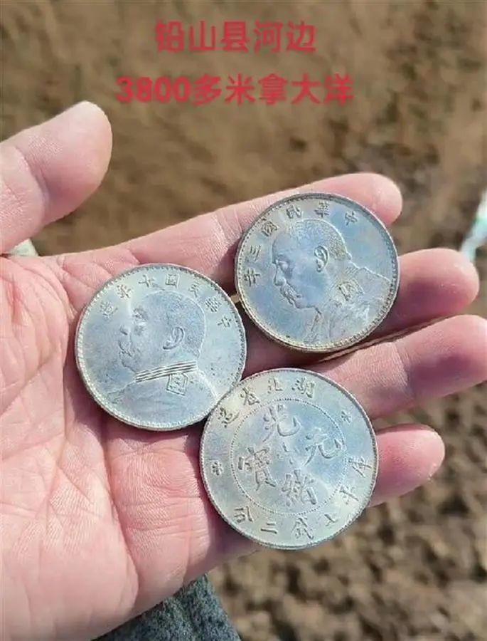 黄先生发布的视频截图
