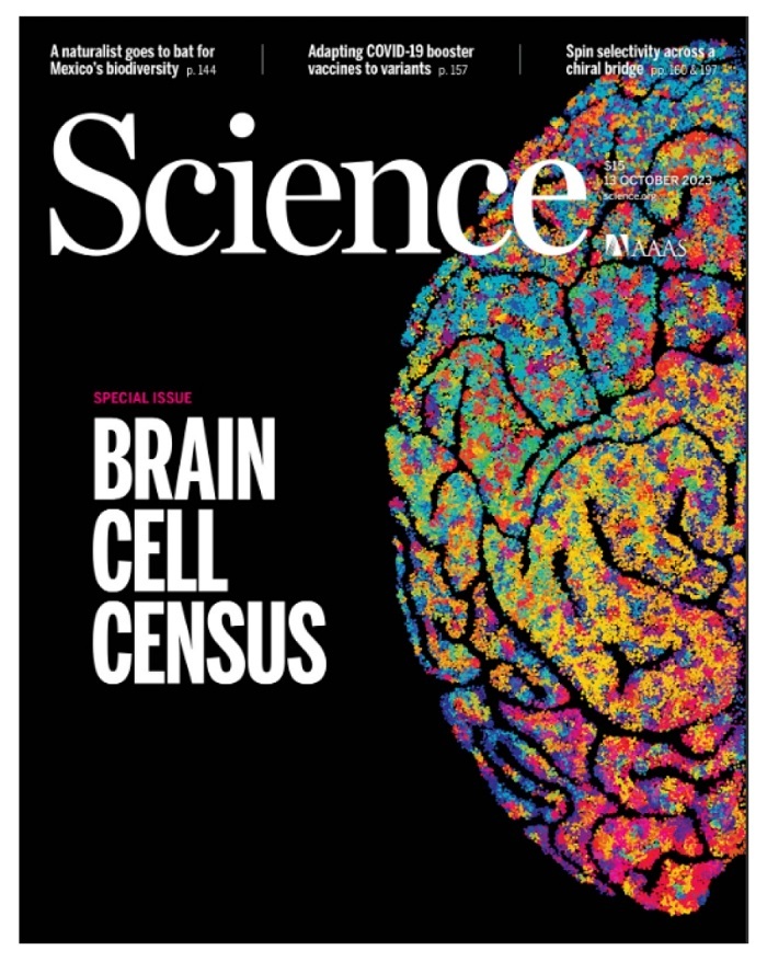 《科学》杂志封面论文。 图片来源：《科学》网站