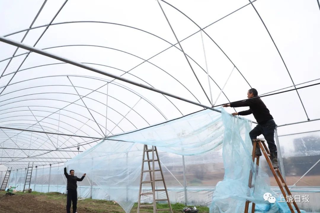 12月20日，在余干县洪家嘴乡双港村梦龙家庭农场，农技人员帮助农户对蔬菜大棚进行覆膜、加固，提高蔬菜抗寒能力。韩海建 摄