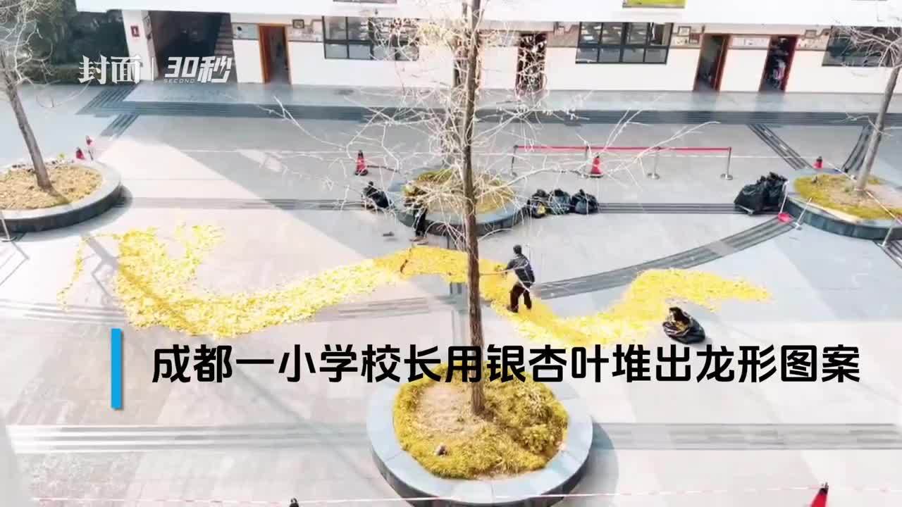 30秒｜逼真！成都一小学校长用银杏叶堆出龙形图案