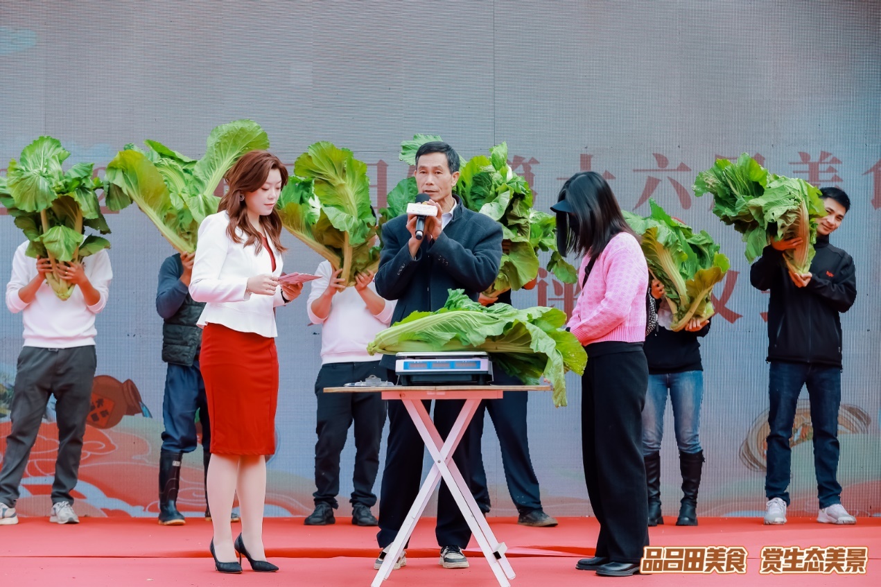 “芥菜王”评选