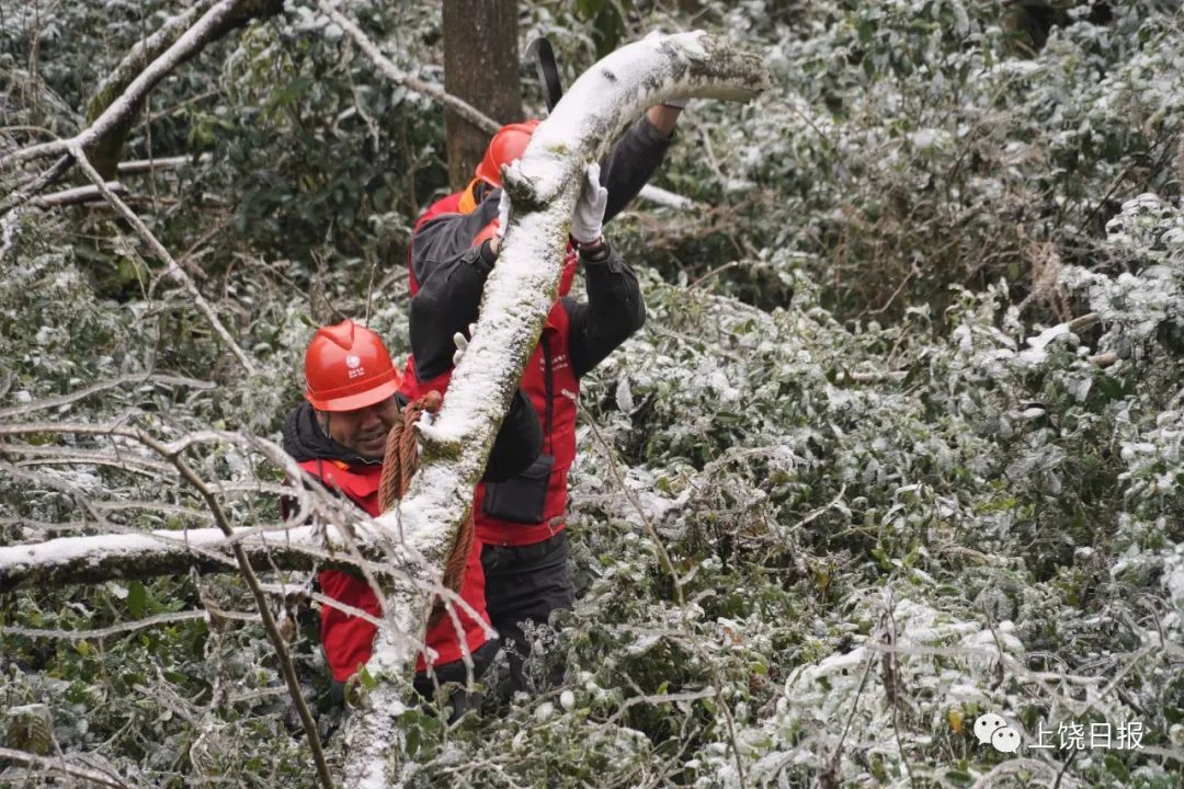 12月16日，广信区五府山迎来了今冬第一场雪。国网广信区供电公司组织五府山员工开展线路设备特巡特维，及时清理树障廊道，排故抢险，保障6400余户山区人民的正常用电。刘小珍 摄