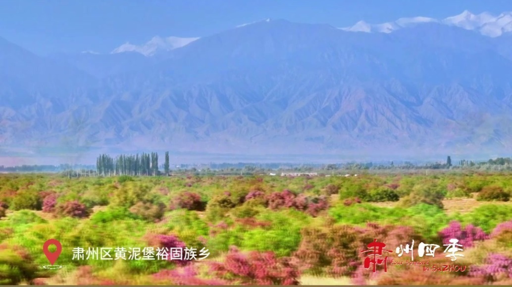 肃州四季丨黄泥堡裕固族乡红柳