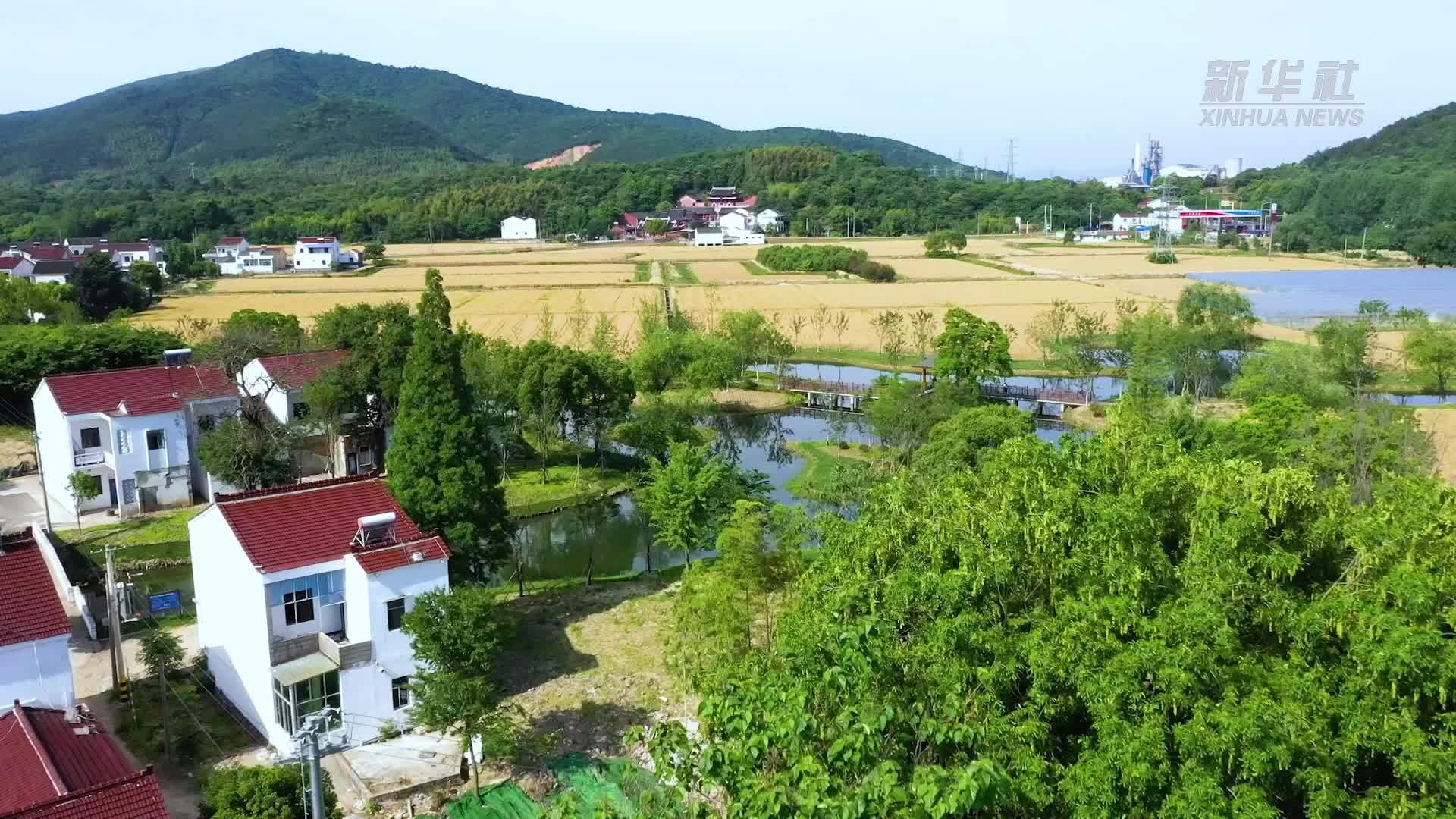 乡村行·看振兴｜经济薄弱村蝶变生态“网红村”