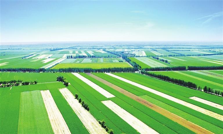 凉州区高标准农田