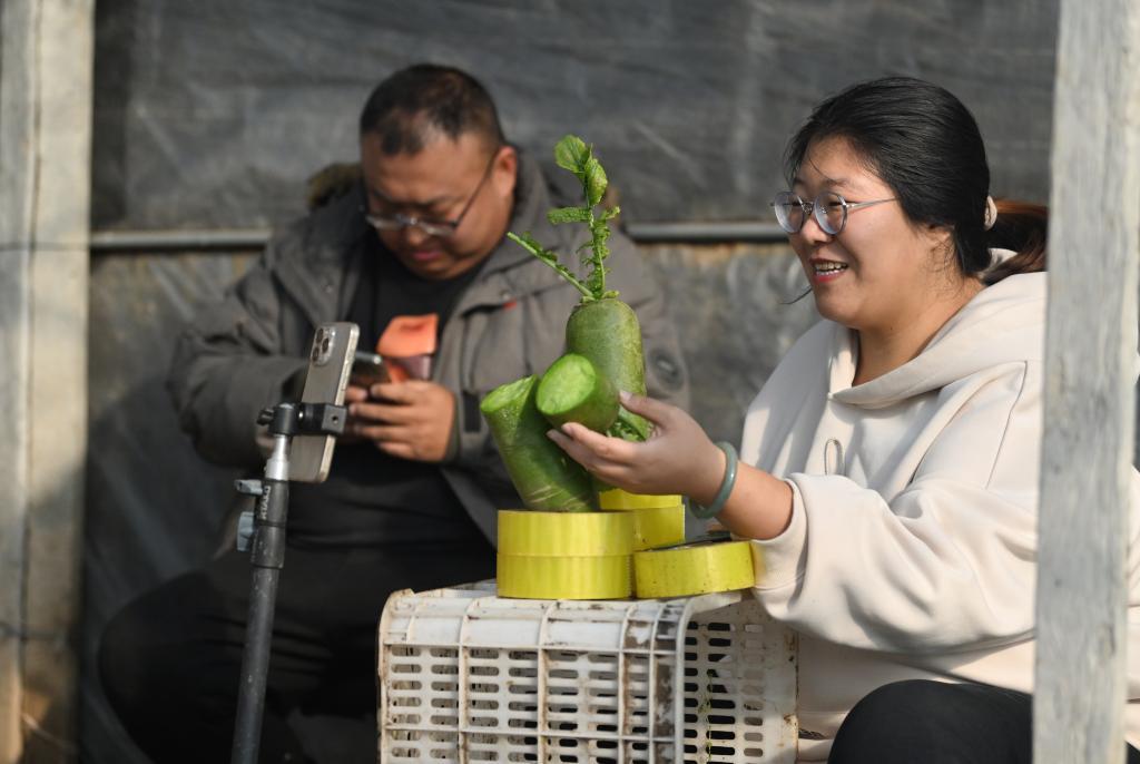 郭庆和张蕊在大棚里直播带货(12月22日摄)。新华社记者李然摄