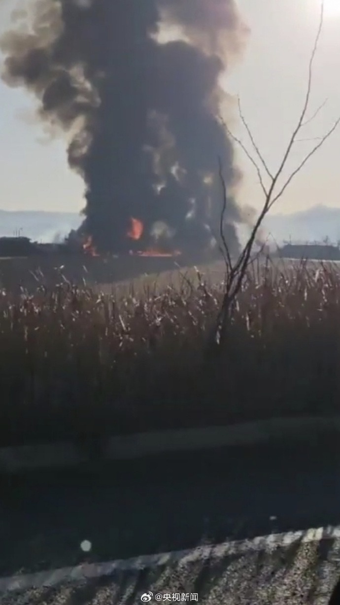 韩国客机起火事故：初步判断疑似撞鸟