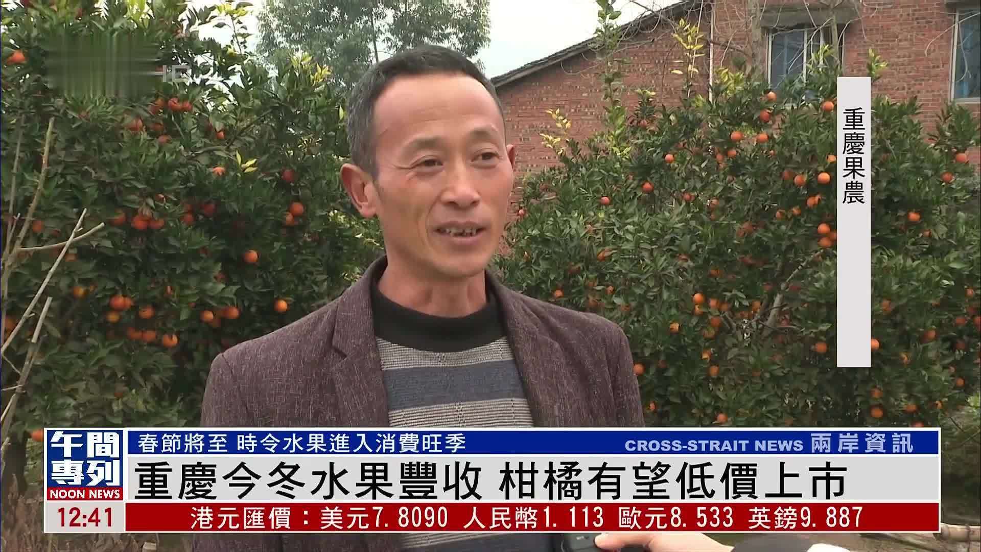 重庆今冬水果丰收 柑橘有望低价上市