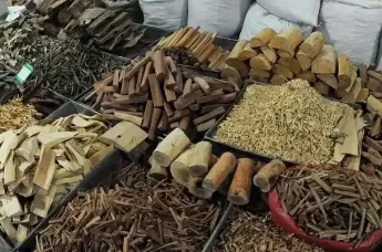 道地中药材咋认定 甘肃新规定标准凤凰网甘肃_凤凰网