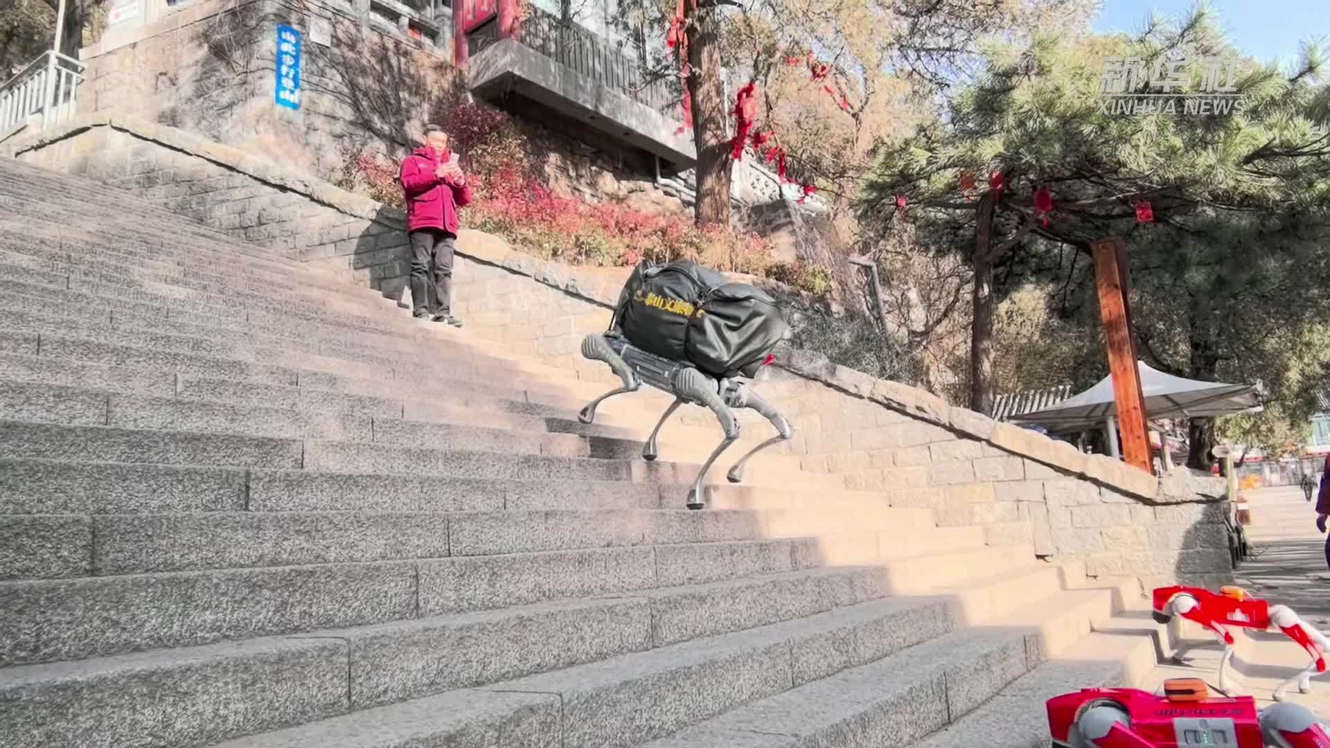 机器狗再登泰山 探索应用新场景