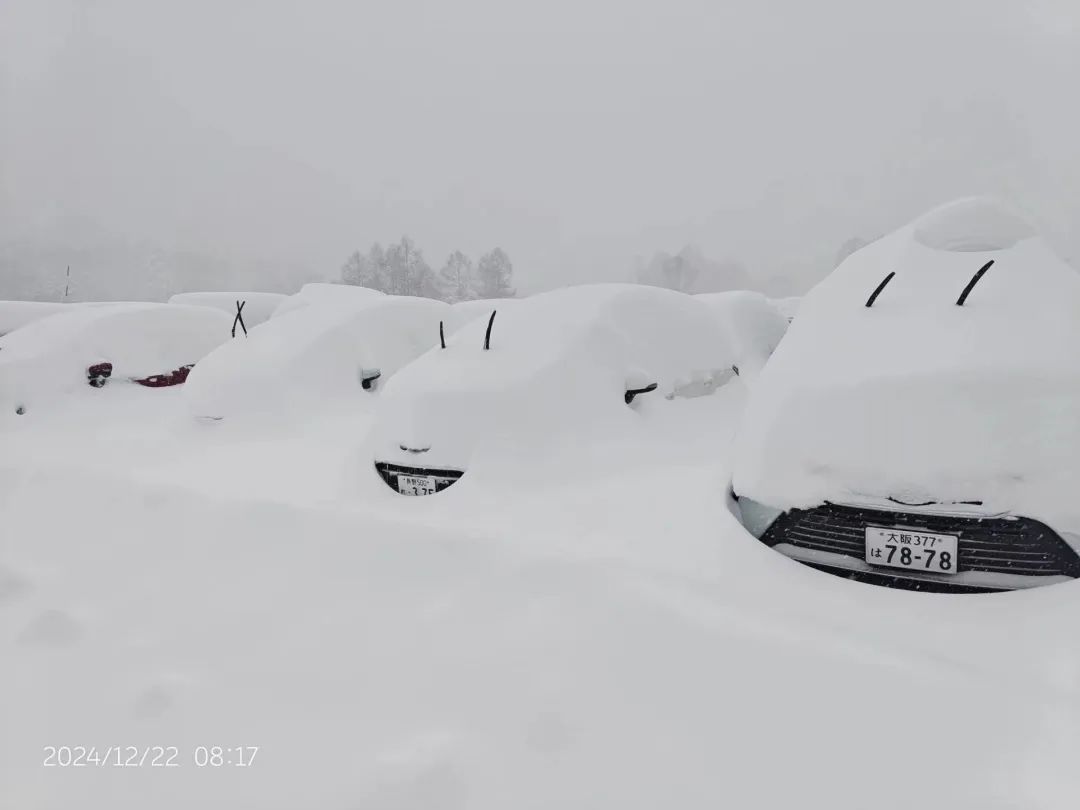 22日早,志贺高原一处停车场内有许多积雪。图源/受访者